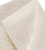 Beige 100% Cotton Solid 550 GSM Hand Towels (Set of 2)