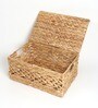 Beige  Seagrass Solid 12.99 x 8.66 Inches Storage Basket