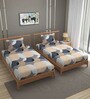 Beige 250 Tc Cotton Bedsheet With 2 Pillow Covers