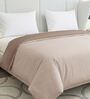 Beige 50% COTTON, 50% POLYESTER Solid 90 GSM King Bed Comforter