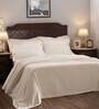 Beige Abstract 250 TC Polyester Blend Bedcover