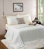 Beige Abstract 320 GSM Cotton 8 Pieces Bedding Set Tranquil Essence Collection