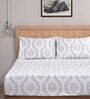 Beige Abstract 400 TC 100% Cotton King Bedsheet with 2 Pillow Covers