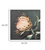 Beige Ambrosia Flower Wall Art Set of 4