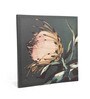 Beige Ambrosia Flower Wall Art Set of 4