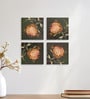 Beige Ambrosia Flower Wall Art Set of 4