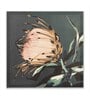 Beige Ambrosia Flower Wall Art Set of 4