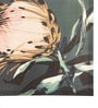 Beige Ambrosia Flower Wall Art Set of 4