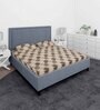 Beige and Brown Abstract 210 TC Cotton Queen Sized 1 Double Bedsheet 2 Pillow Covers