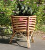 Beige Assam Cane Round Planter Stand