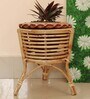 Beige Assam Cane Round Planter Stand