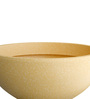 Beige Bowl Shaped Polymer Floor Planter