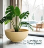 Beige Bowl Shaped Polymer Floor Planter