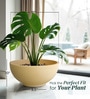 Beige Bowl Shaped Polymer Floor Planter