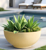 Beige Bowl Shaped Polymer Floor Planter