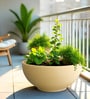 Beige Bowl Shaped Polymer Floor Planter