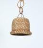 Tais Beige Assam Cane Single Hanging Light
