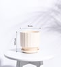 Beige Ceramic Desk Pot