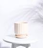 Beige Ceramic Desk Pot