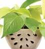 Beige Ceramic Watermelon Shape Desk Pot Planter