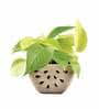 Beige Ceramic Watermelon Shape Desk Pot Planter