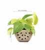 Beige Ceramic Watermelon Shape Desk Pot Planter