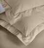 Beige Check 200 TC Cotton King Size Bed Sheet with 2 Pillow Covers 24 Collection