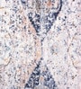 Beige Chenille 55 x 22 Inches Machine Made Floor Runner