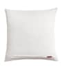 Beige Floral Cotton Blend 16 x 16 Inches Cushion Cover