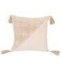 Beige Traditional Cotton 14 x 14 Inches Cushion Cover