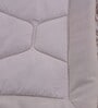 Beige Cotton 120 Room Temperature Double Bed Quilt