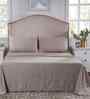 Beige Ethnic Motifs 400 TC Cotton King Size Bed Sheet with 2 Pillow Covers Classical Ornate Collection