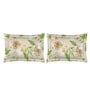 Beige Floral 104 TC Cotton Queen Sized Bed Sheets with 2 Pillow Covers