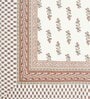 Beige Floral 144 TC Cotton King Bedsheet and 2 Pillow Cover
