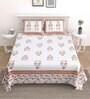Beige Floral 144 TC Cotton King Bedsheet and 2 Pillow Cover
