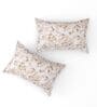 Beige Floral 180 TC Cotton King Bedhseet 2 pillow covers