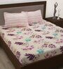 Beige Floral 186 TC 100% Cotton Queen Sized Bed Sheets with 2 Pillow Covers