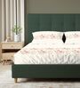 Beige Floral 200 TC Cotton King Sized Fitted Bedsheet with 2 Pillow Covers
