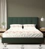 Beige Floral 200 TC Cotton King Sized Fitted Bedsheet with 2 Pillow Covers