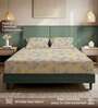 Beige Floral 200 TC Microfiber King Sized Bedsheet with 2 Pillow Covers