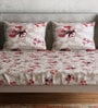 Beige Floral 300 TC 100% Cotton Queen Sized Bed Sheets with 2 Pillow Covers