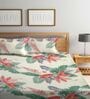 Beige Floral 300 TC Cotton Blend Double Queen Size Bedsheet With 2 Pillow Covers