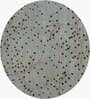 Beige Floral Wool Round Hand Tufted Carpet