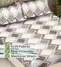 Beige Geometric 300 TC Cotton Blend King Size Fitted Double Bedsheet with 2 Pillow Covers