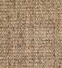 Beige Sisal Solid 6 x 9  Feet Machine Made Carpet