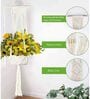 Beige Macrame Indoor and Handmade Hanging Rope Planter (Set of 2)