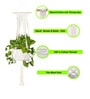 Beige Macrame Indoor and Handmade Hanging Rope Planter (Set of 2)
