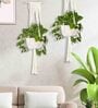 Beige Macrame Indoor and Handmade Hanging Rope Planter (Set of 2)