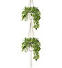 Beige Macrame Indoor and Handmade Hanging Rope Planter (Set of 2)