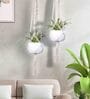 Beige Macrame Indoor and Handmade Hanging Rope Planter (Set of 2)